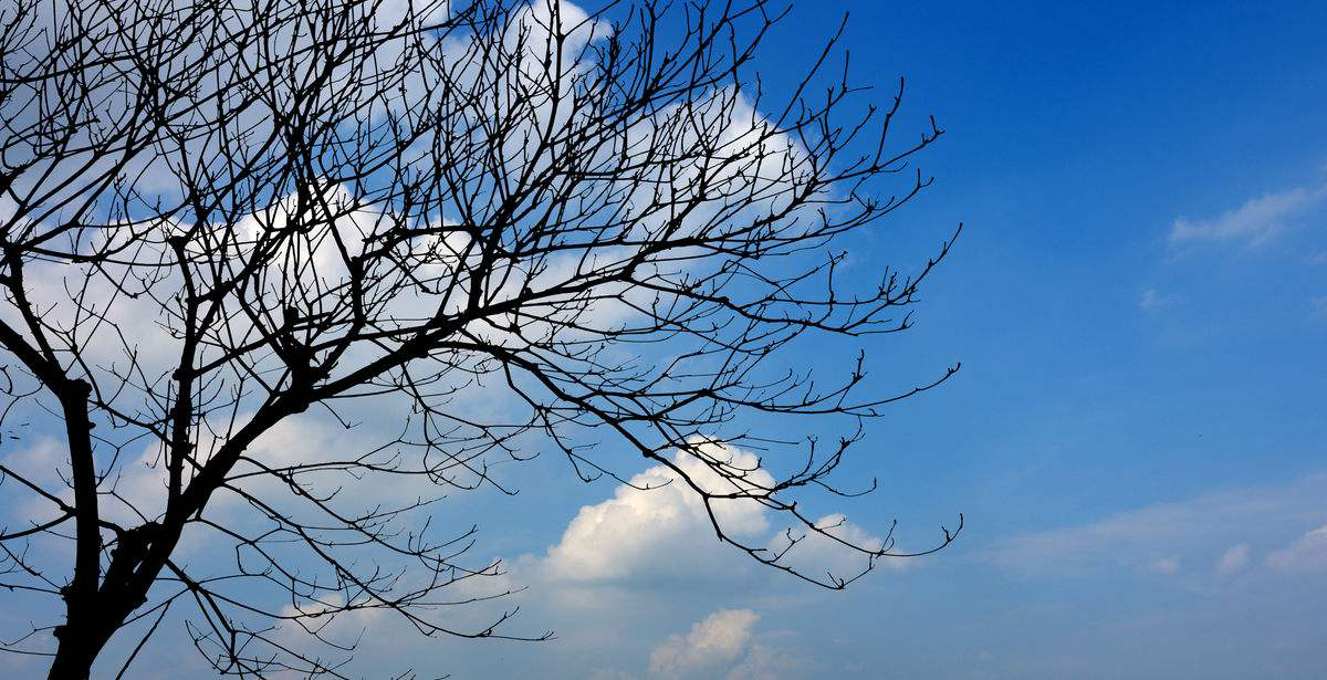 ͷҵ-新利体育luck18Դ-